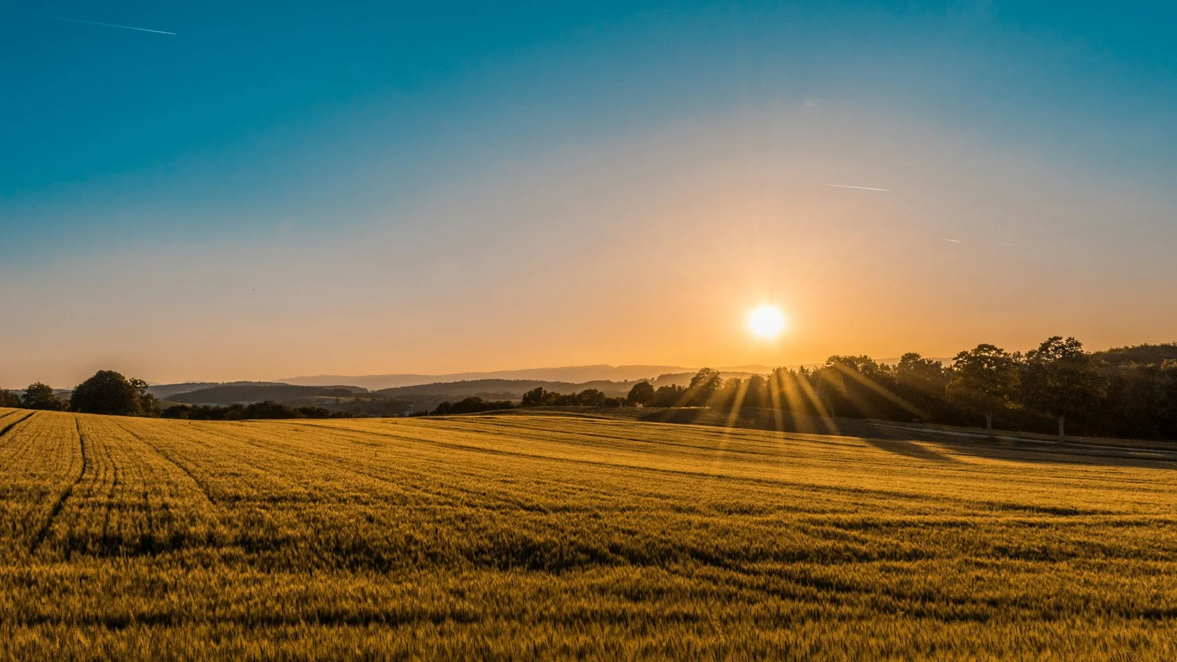Green fields in the countryside