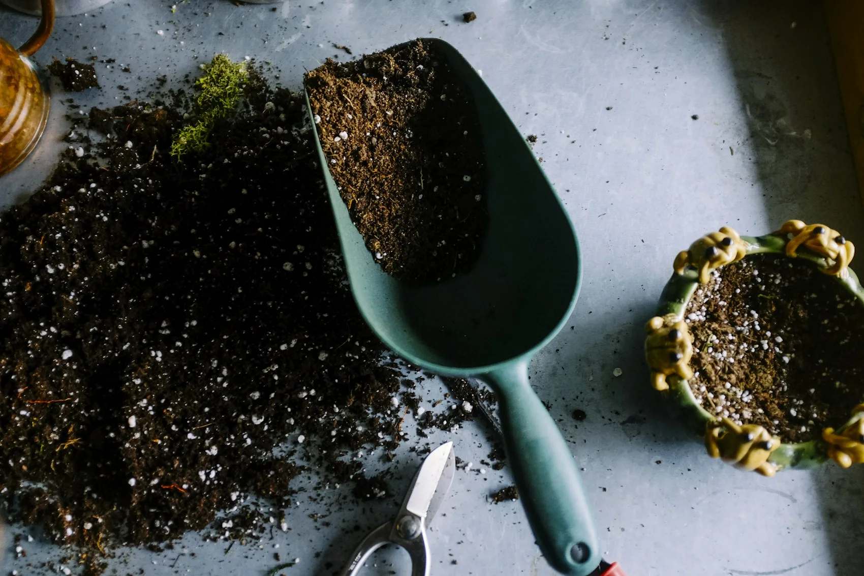 Plants and gardening equipment